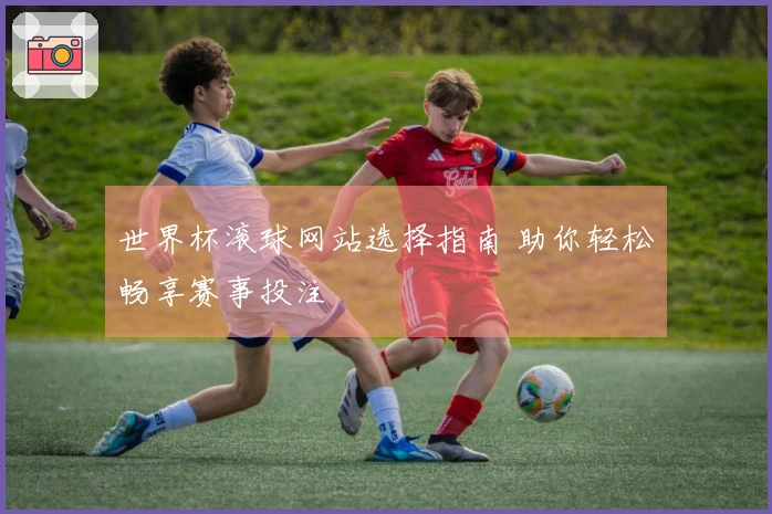 世界杯滚球网站选择指南 助你轻松畅享赛事投注