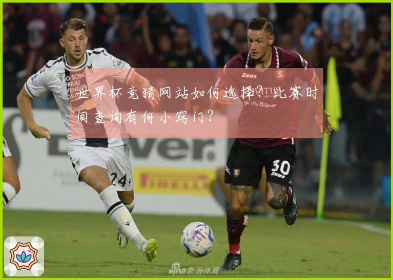 世界杯竞猜网站如何选择？比赛时间查询有何小窍门？