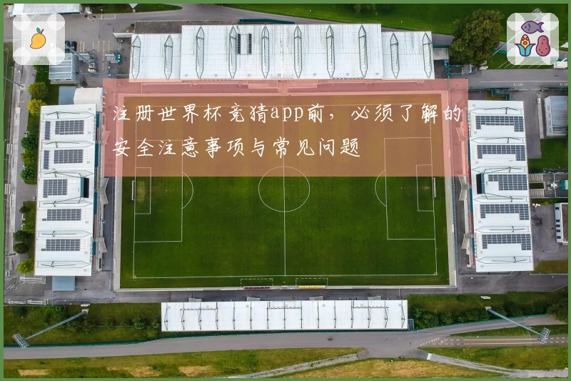 注册世界杯竞猜app前，必须了解的安全注意事项与常见问题