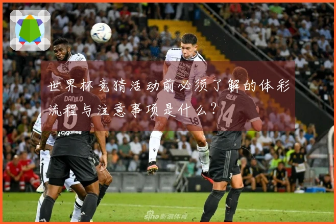 世界杯竞猜活动前必须了解的体彩流程与注意事项是什么？